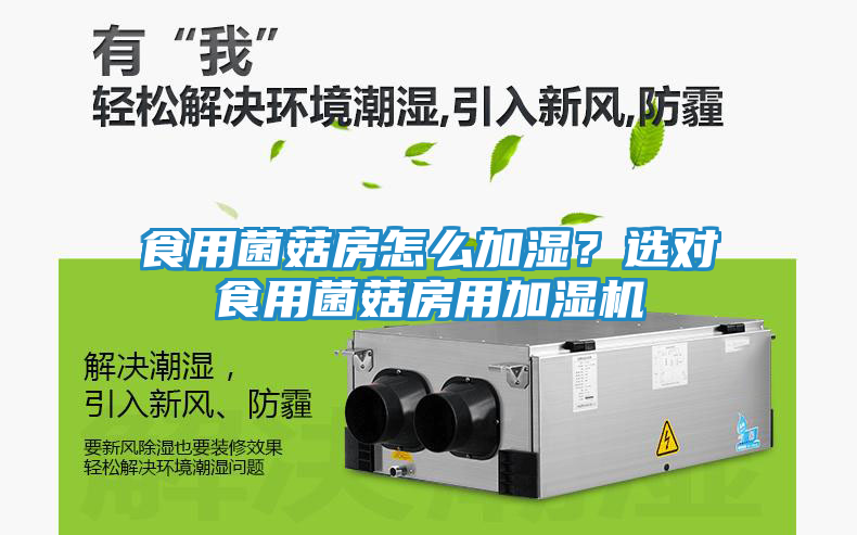食用菌菇房怎么加湿？选对食用菌菇房用加湿机