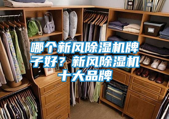 哪个新风除湿机牌子好？新风除湿机十大品牌