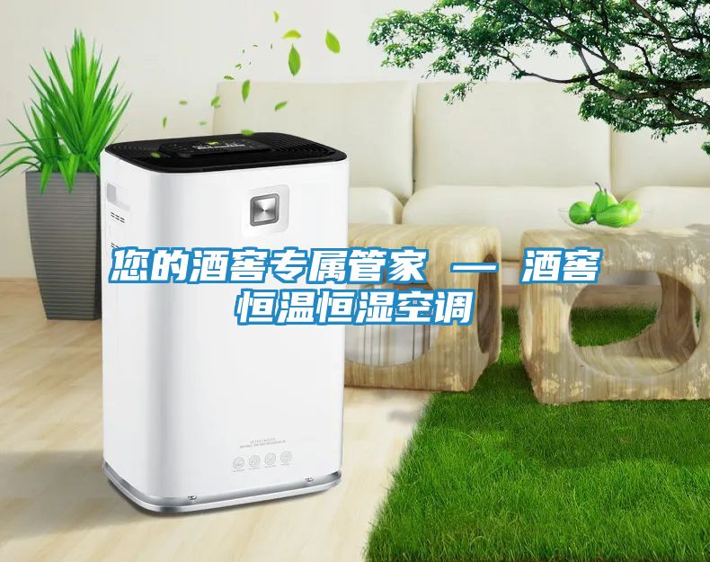 您的酒窖专属管家 — 酒窖恒温恒湿空调