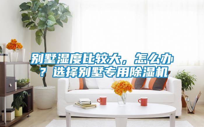 别墅湿度比较大，怎么办？选择别墅专用除湿机