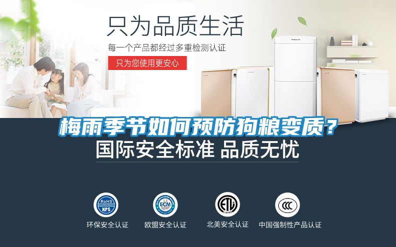 梅雨季节如何预防狗粮变质?