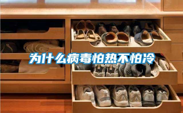 为什么病毒怕热不怕冷