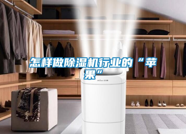 怎样做除湿机行业的“苹果”