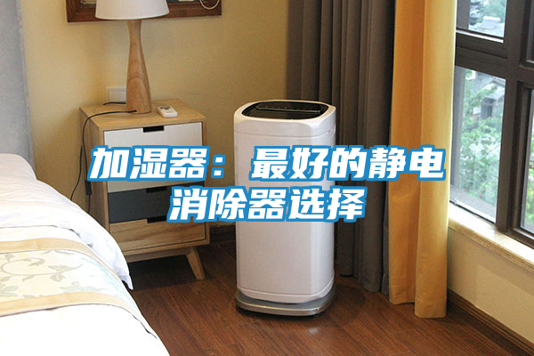 加湿器：最好的静电消除器选择