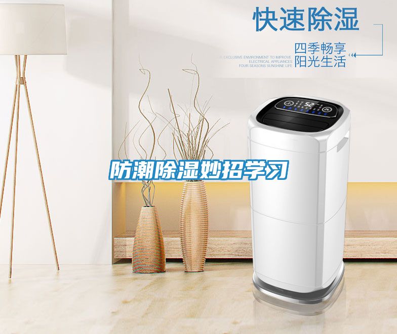 防潮除湿妙招学习