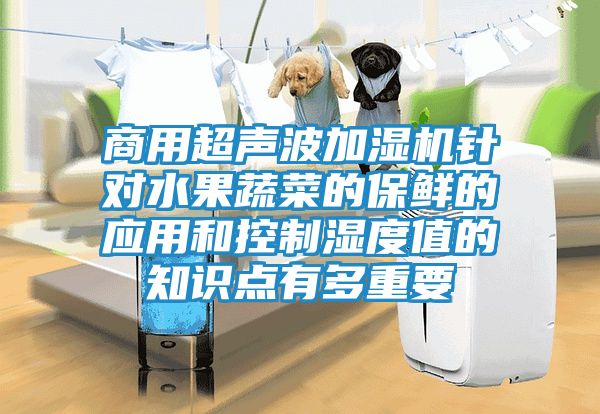 商用超声波加湿机针对水果蔬菜的保鲜的应用和控制湿度值的知识点有多重要