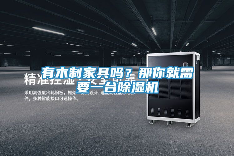 有木制家具吗？那你就需要一台除湿机