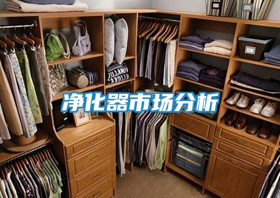 净化器市场分析