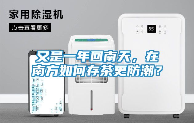 又是一年回南天，在南方如何存茶更防潮？