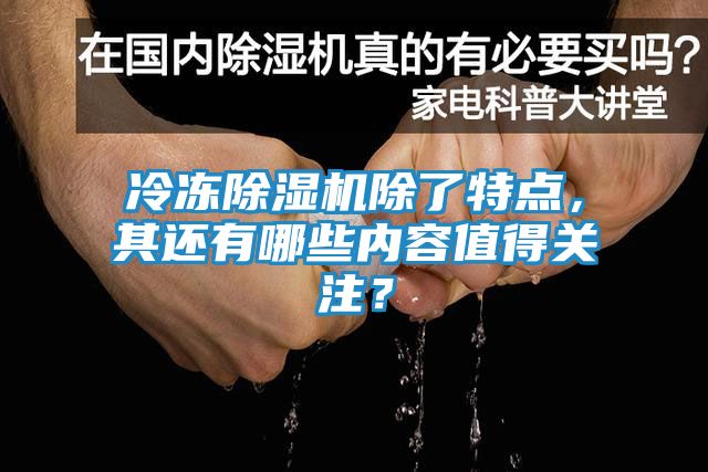 冷冻除湿机除了特点，其还有哪些内容值得关注？
