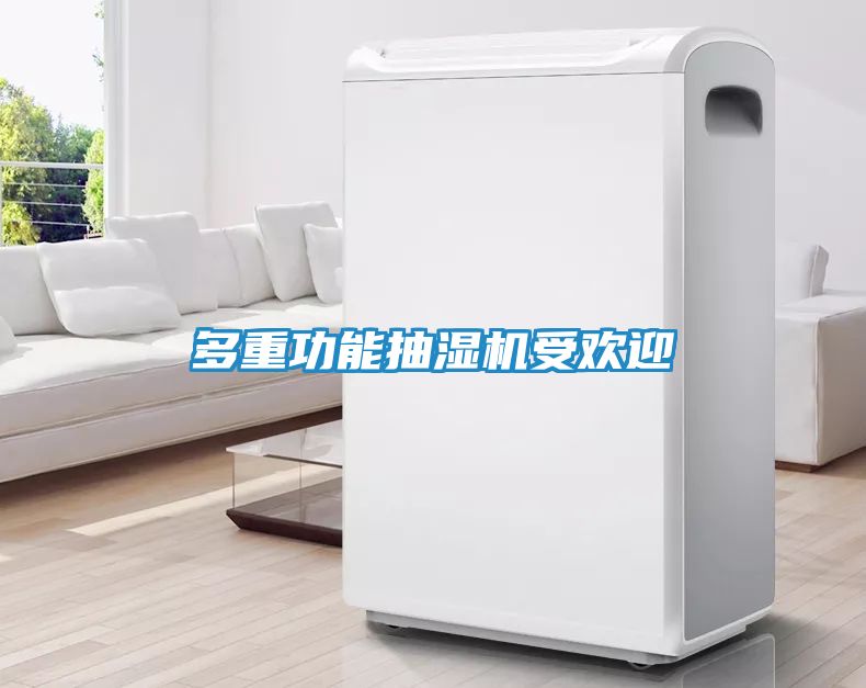多重功能抽湿机受欢迎