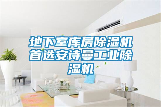 地下室库房除湿机首选安诗曼工业除湿机