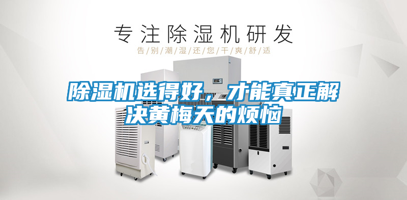 除湿机选得好，才能真正解决黄梅天的烦恼