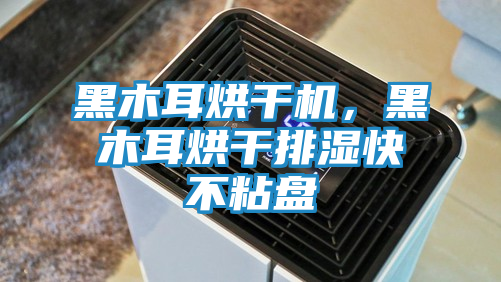 黑木耳烘干机，黑木耳烘干排湿快不粘盘