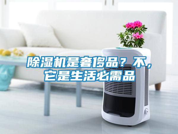 除湿机是奢侈品？不，它是生活必需品