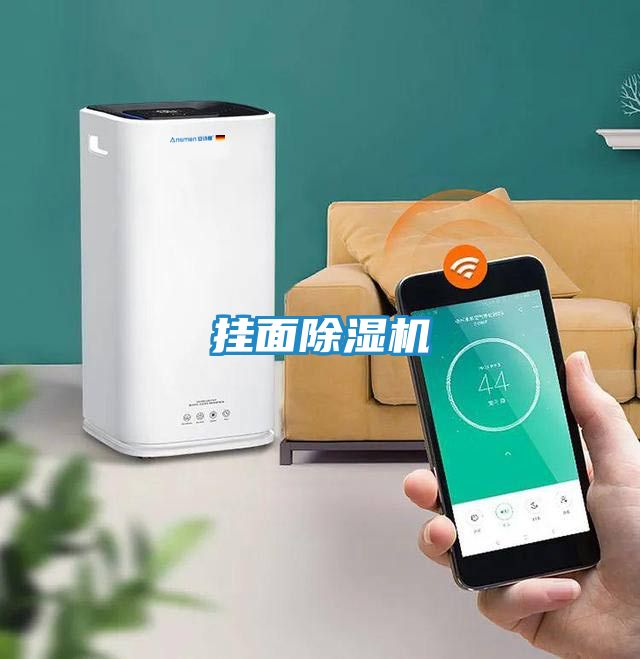 挂面除湿机