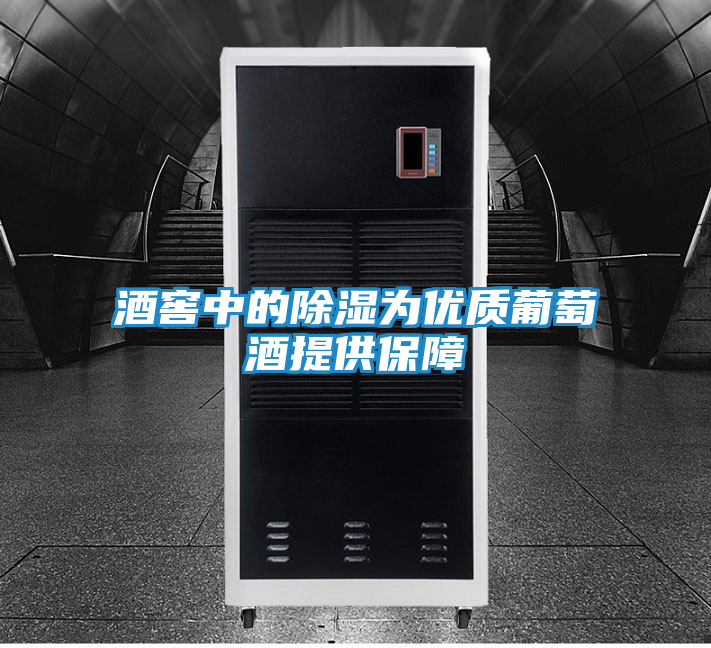 酒窖中的除湿为优质葡萄酒提供保障