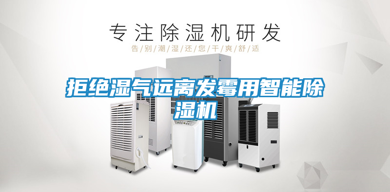 拒绝湿气远离发霉用智能除湿机