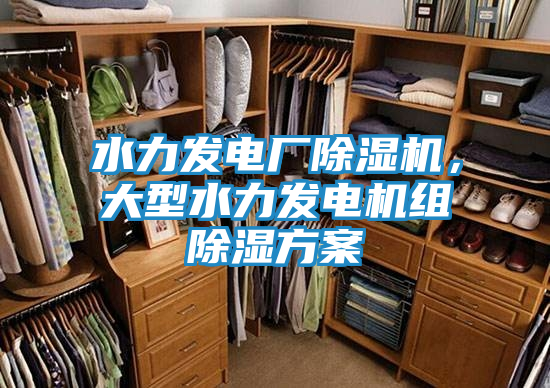 水力发电厂除湿机，大型水力发电机组除湿方案