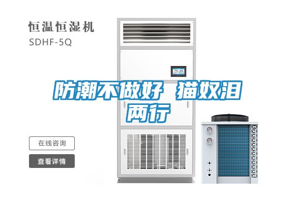 防潮不做好 猫奴泪两行