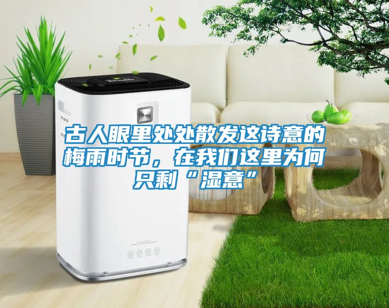 古人眼里处处散发这诗意的梅雨时节，在我们这里为何只剩“湿意”