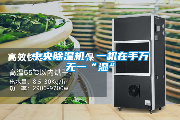 中央除湿机，一机在手万无一“湿”