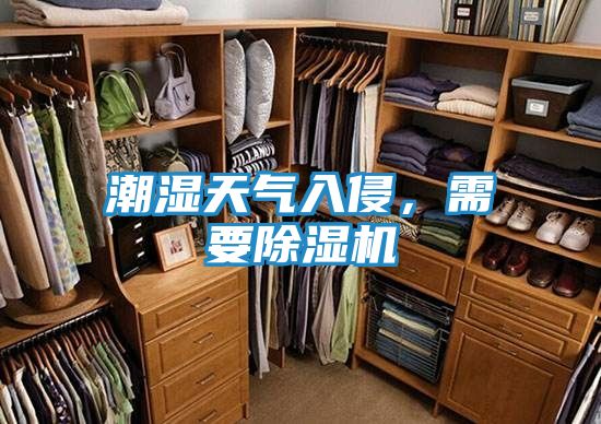 潮湿天气入侵，需要除湿机