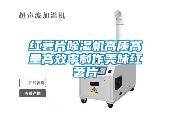 红薯片除湿机高质高量高效率制作美味红薯片