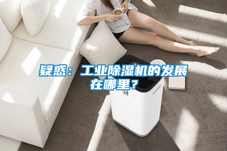 疑惑：工业除湿机的发展在哪里？