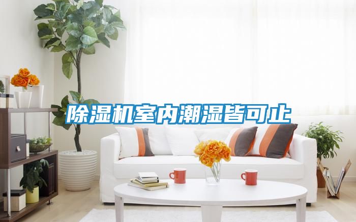 除湿机室内潮湿皆可止