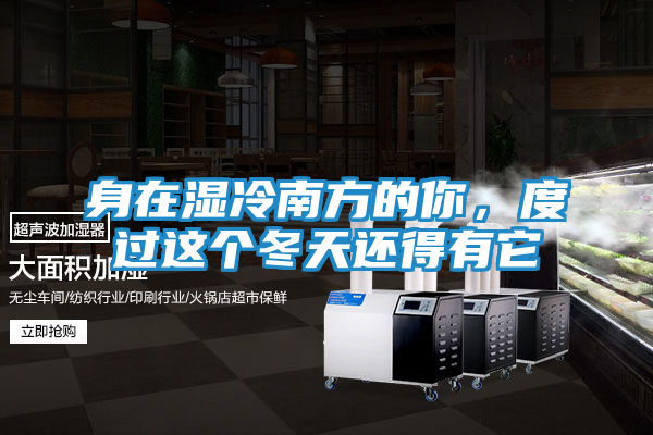 身在湿冷南方的你,度过这个冬天还得有它