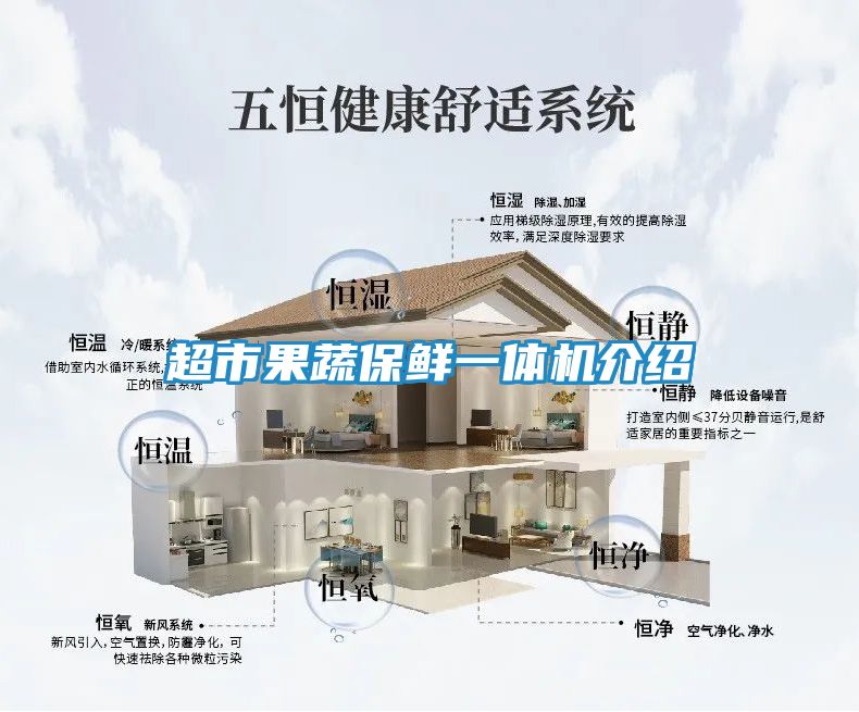 超市果蔬保鲜一体机介绍