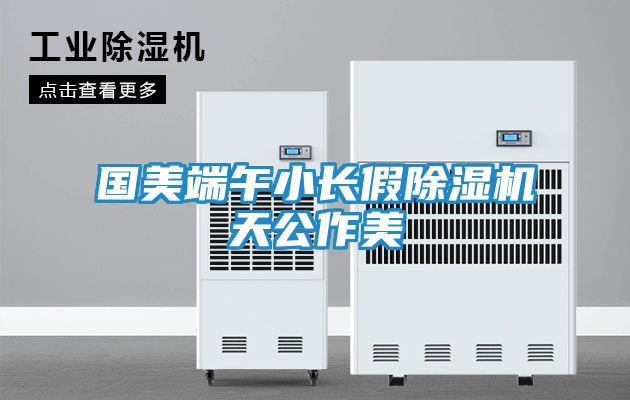 国美端午小长假除湿机天公作美