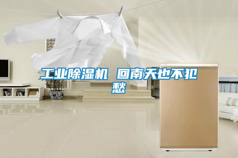 工业除湿机 回南天也不犯愁