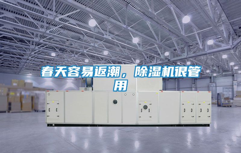 春天容易返潮，除湿机很管用
