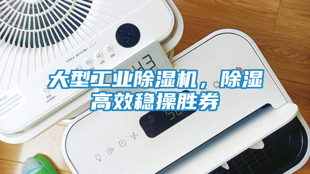 大型工业除湿机，除湿高效稳操胜券