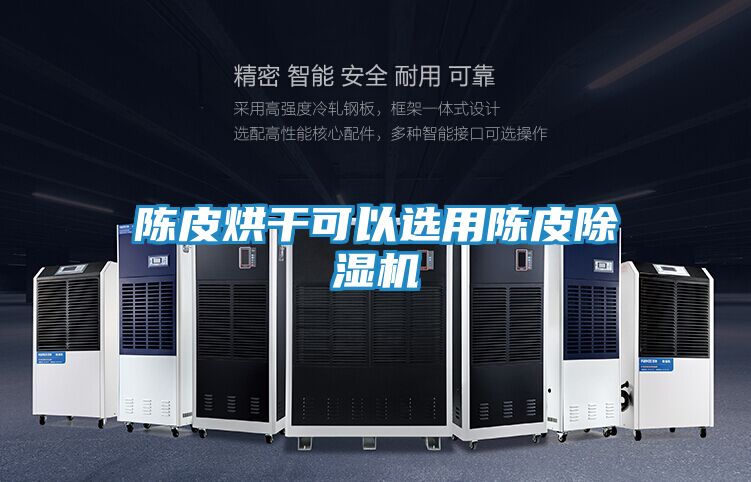陈皮烘干可以选用陈皮除湿机