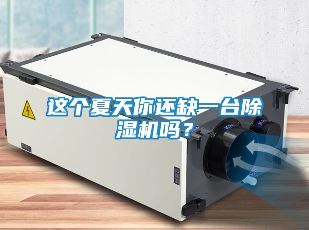 这个夏天你还缺一台除湿机吗？