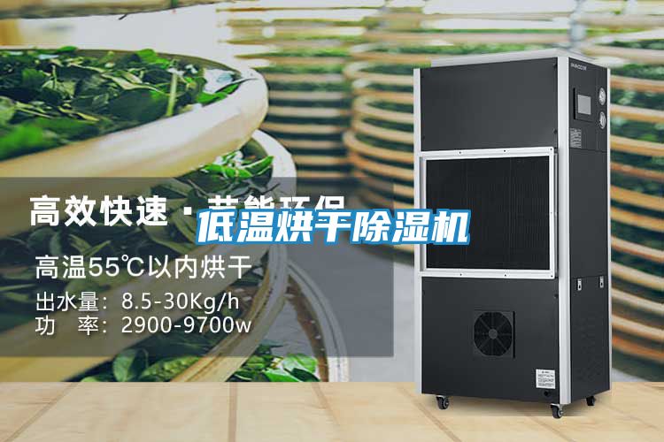 低温烘干除湿机