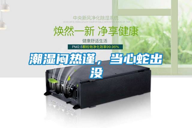 潮湿闷热谨，当心蛇出没