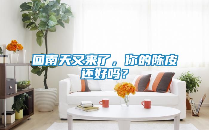 回南天又来了,你的陈皮还好吗?