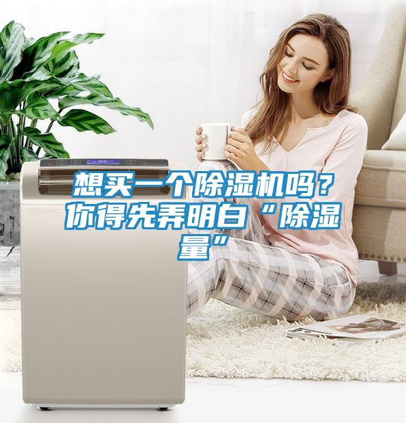 想买一个除湿机吗?你得先弄明白“除湿量”