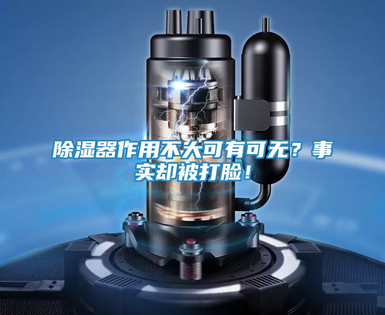 除湿器作用不大可有可无？事实却被打脸！