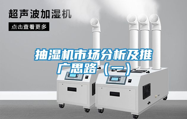 抽湿机市场分析及推广思路(一)