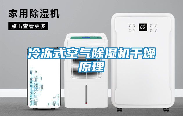 冷冻式空气除湿机干燥原理