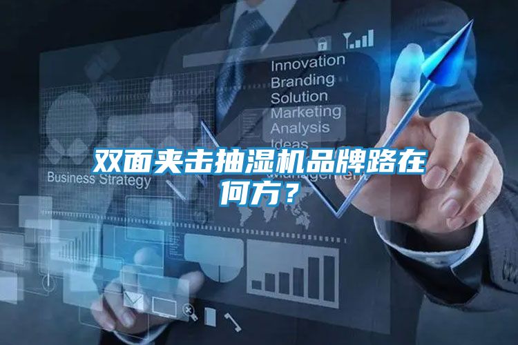 双面夹击抽湿机品牌路在何方？