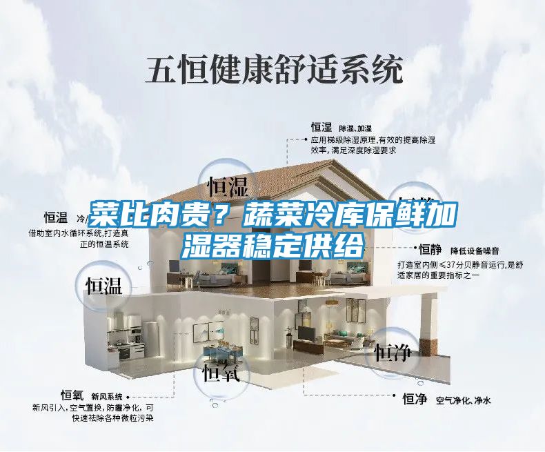 菜比肉贵？蔬菜冷库保鲜加湿器稳定供给