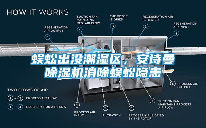 蜈蚣出没潮湿区,安诗曼除湿机消除蜈蚣隐患