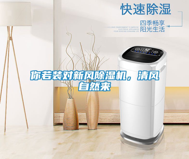 你若装对新风除湿机，清风自然来