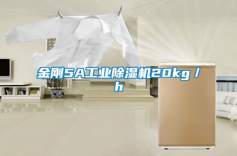 金刚5A工业除湿机20kg／h